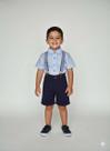 Conjunto Infantil Camisa Verano Flamê e Bermuda com Suspensório Biogás Cor:AzulTamanho:4