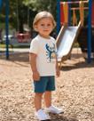 Conjunto Infantil Camiseta E Short De Calor Menino - Malwee Cor:Modelo 01Tamanho:06