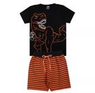 Conjunto Infantil e Juvenil Menino Masculino 1 ao 14