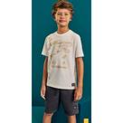 Conjunto Infantil Jurassic Spinosaurus Cinza/Natural Kippos