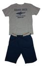 Conjunto infantil masculino