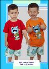 Conjunto infantil masculino tactel sapo Conjunto infantil masculino tactel sapo