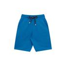 Conjunto Infantil Menino, Camiseta Em Cotton Com Estampa De Pássaros E Bermuda Moletinho Azul Royal