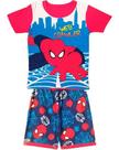 Conjunto Infantil Menino Camiseta + Short Personagem