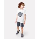 Conjunto Infantil Menino Carinhoso 10 ao 16 Ref. 098414 Conjunto Infantil Menino Carinhoso 10 ao 16 Ref. 098414