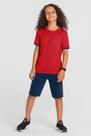 Conjunto infantil menino com aplique termocolante Brandili
