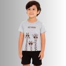 Conjunto Infantil Menino Girafa- Rei Rex