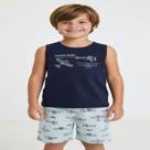 Conjunto Infantil Menino Pipa Avião - Regata e Bermuda COR:AZULTAMANHO:08