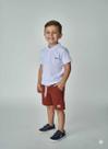 Conjunto Infantil Menino Polo Piquet Soft e Bermuda Moletom Gorgurão Biogás Cor:BrancoTamanho:4