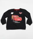 Conjunto Infantil Moletinho Carros Disney Tam 1 a 3 Pr-42041