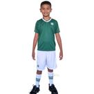 Conjunto Infantil Palmeiras Uniforme Dry 3 Pçs