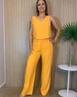 Conjunto Lara Calça Pantalona e Cropped
