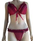 Conjunto Lingerie Sutiã Aro Inteiro E Calcinha Fio 284