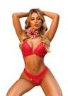 Conjunto Lingerie Sutiã Decote V Aro Calcinha Larga Renda Tule