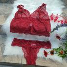 Conjunto lingerie tecido Poliester rendado sem bojo -Jmartins -Feminino Adulto- Cor vermelho -Tam M