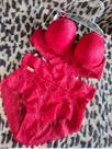 Conjunto lingerie vermelha renda