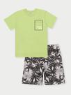 Conjunto Menino Palmas Verde Flour Abrange