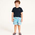 Conjunto Menino Verão Camiseta e Short de Piscina Papilloo