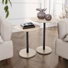 Conjunto Mesa De Centro Para Decoração Apoio Orgânica