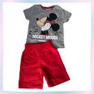 Conjunto Mickey Musica