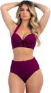 Conjunto Moda Praia Calcinha Disfarça Barriguinha Roxo M