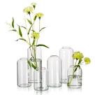 Conjunto moderno de 6 vasos Hewory Glass Clear para flores Conjunto moderno de 6 vasos Hewory Glass Clear para flores