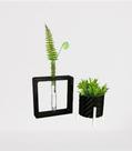 Conjunto para Decoração Minimalista Vaso Hidropônico e Cachepot Conjunto para Decoração Minimalista Vaso Hidropônico e Cachepot