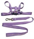 Conjunto Peitoral Aranha para Cães Grande Porte Lilás Tamanho G