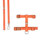 Conjunto Peitoral H Toh Laranja e Caqui para Gato