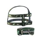 Conjunto Peitoral Nylos Selva Nº4 - Coltelli Conjunto Peitoral Nylos Selva Nº4 - Coltelli