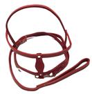Conjunto Peitoral para Cães Grande Porte em Couro Forrado Nr08