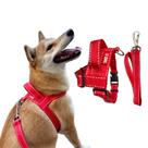 Conjunto Peitoral Pontilhado com Guia para Cachorro - Canadá K9 Conjunto Peitoral Pontilhado com Guia para Cachorro - Canadá K9