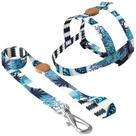 Conjunto peitoral tradicional e guia pp azul noronha