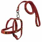 Conjunto Pet Peitoral e Guia Tradicional Nylon Nº2