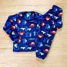 Conjunto Pijama Flecce 02 ao 12 tamanhos