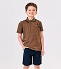 Conjunto Polo Com Bermuda Menino Trick Nick Marrom