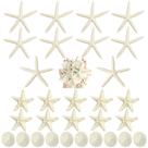 Conjunto Queekay 30 Resin Starfish and Sand Dollars de 5-12 cm