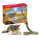 Conjunto Schleich Wild Life Danger in The Swamp - 5 Peças