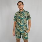 Conjunto Selva