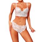 Conjunto Sensual Cropped E Calcinha Paetê De Renda