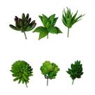 Conjunto Suculentas Sortidas Verde Artificial Permanente 10cm Florarte