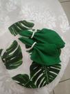 Conjunto Supla