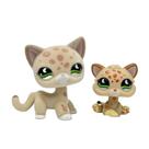 Conjunto Toy Pet Shop Flocked Cat Collie Great Dane Cocker Spaniel Conjunto Toy Pet Shop Flocked Cat Collie Great Dane Cocker Spaniel