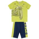 Conjunto Winner