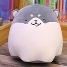 Conjuntos de presente de bebê 30 cm de gordura redonda fofa shiba inu cachorro boneca de pelúcia bicho de pelúcia filhote de cachorro brinquedos de pelúcia cinza