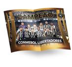 Conmebol libertadores 2024 winner pôster botafogo