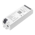 Controlador LED BTF-LIGHTING LM053 Tuya Bluetooth Mesh 15A