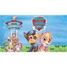 Convite Digital Personalizado de Aniversário com Personagem Favorito Mensagem Surpresa Infantil todos temas