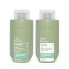 Cool Mentha Detox e Repositor de Carbono Desintoxicação de Fios & Reposição de Carga Hídrica DIColore - Kit 250ml