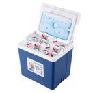 Cooler LifeBROS Azul Portátil Aislado a Prueba de Fugas 10L/11Qt